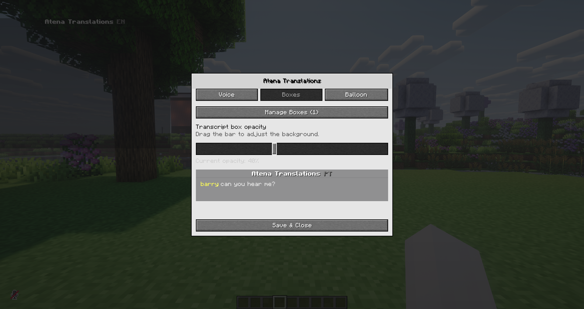 Transcript box settings