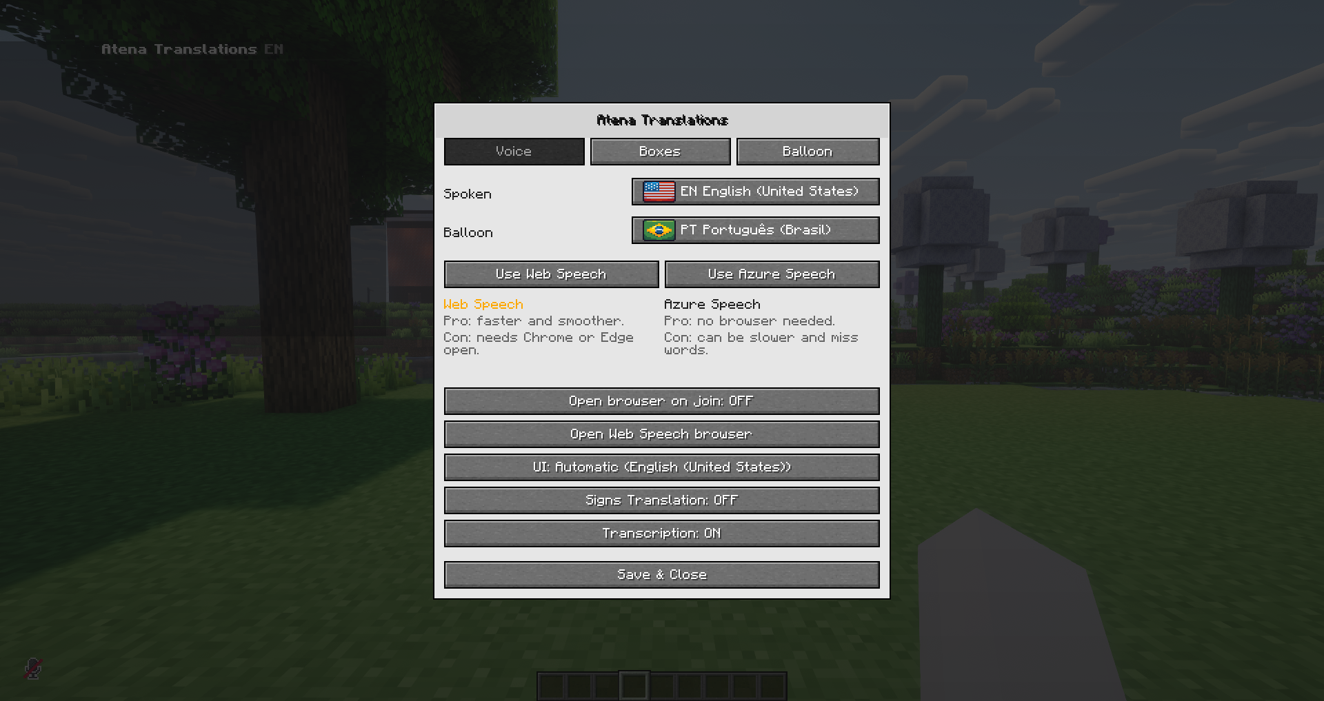 Atena Translations voice settings